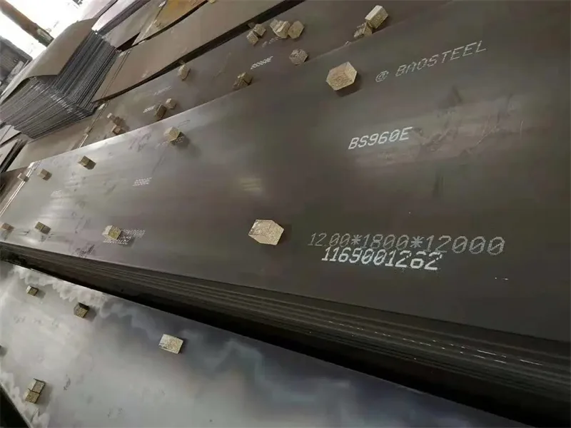 Détails de la plaque d'acier AR550 (2)