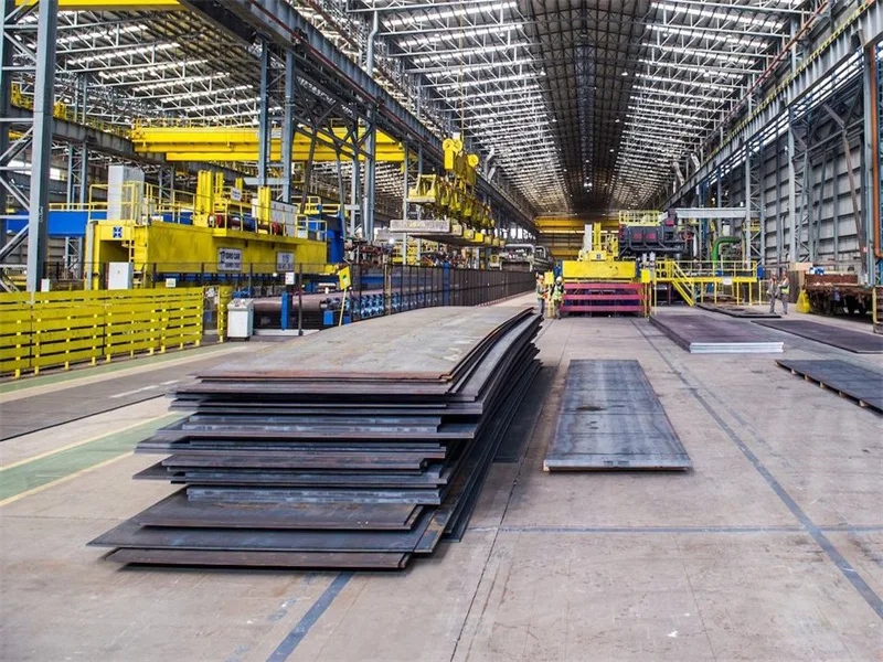 Usine de plaques d'acier au carbone à basse température (2)