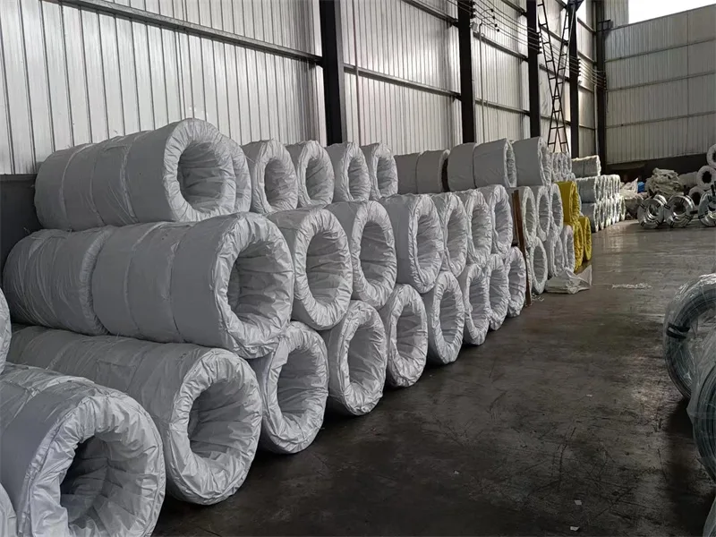 usine de fils d'acier au carbone recuit (2)