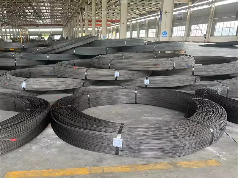 usine de fils d'acier au carbone recuit (3)